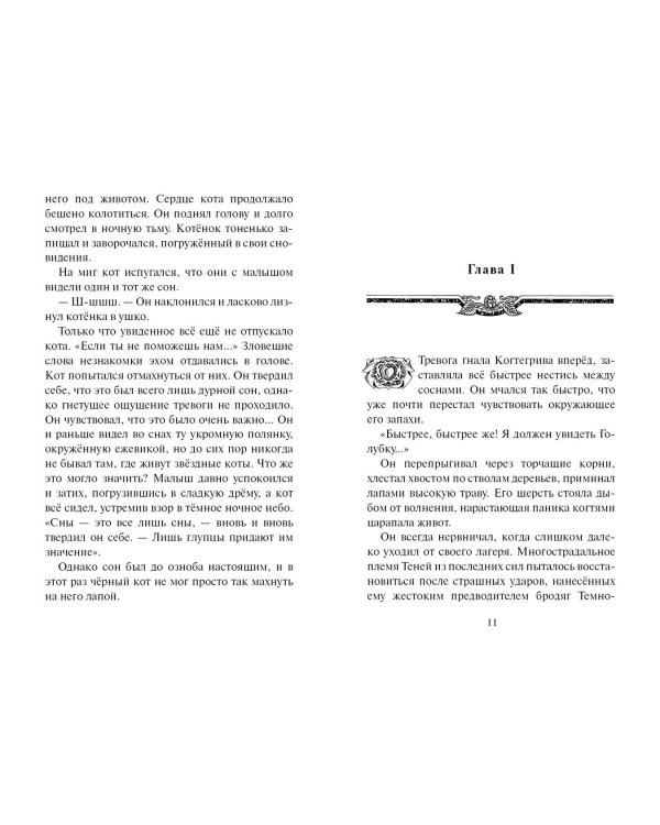 Тень Когтегрива. Видения