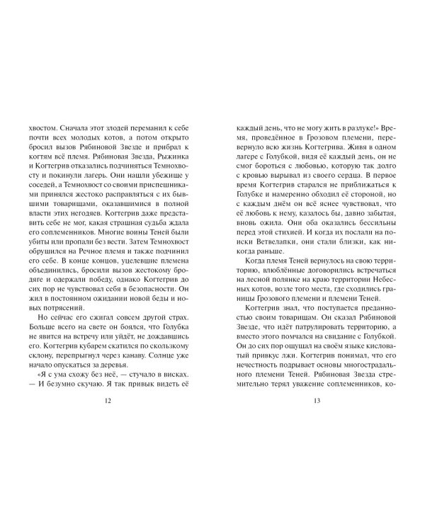 Тень Когтегрива. Видения