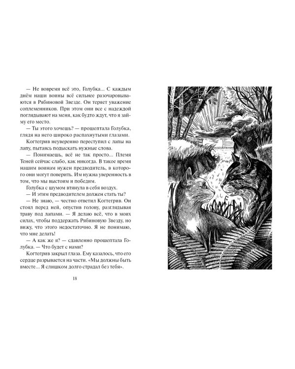 Тень Когтегрива. Видения