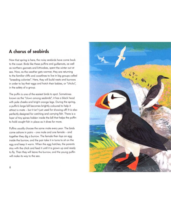 What to Look For in Spring