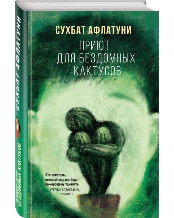 Приют для бездомных кактусов