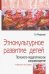 Этнокультурное развитие детей. Психолого-педагогическое сопровождение. Учебное пособие