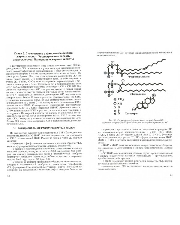 Филогенетическая теория общей патологии. Патогенез болезней цивилизации. Атеросклероз