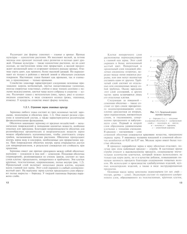 Товароведение и экспертиза зерномучных товаров. Учебник