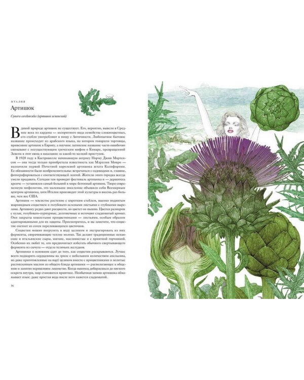 Вокруг света за 80 растений