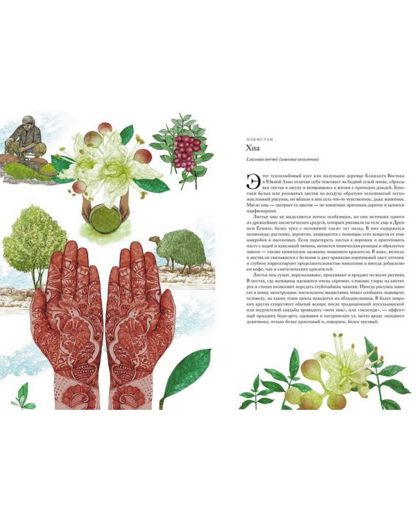 Вокруг света за 80 растений