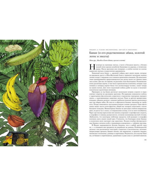 Вокруг света за 80 растений