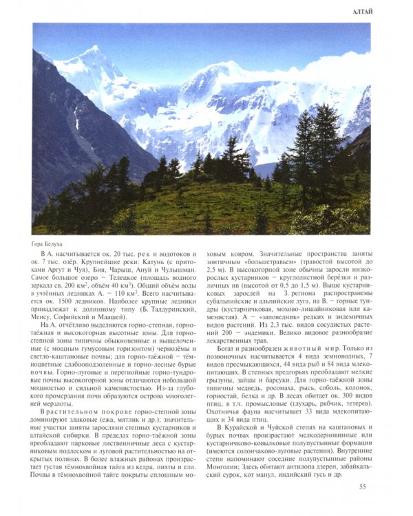 Россия. XXI век. В 2-х томах. Том 1. Уникальное энциклопедическое издание