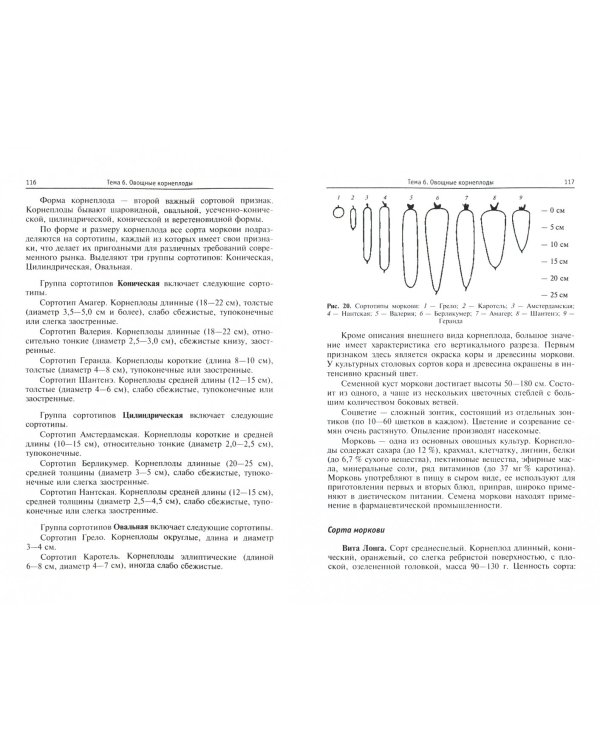 Практикум по овощеводству. Учебное пособие