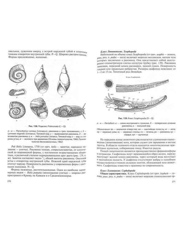 Палеонтология