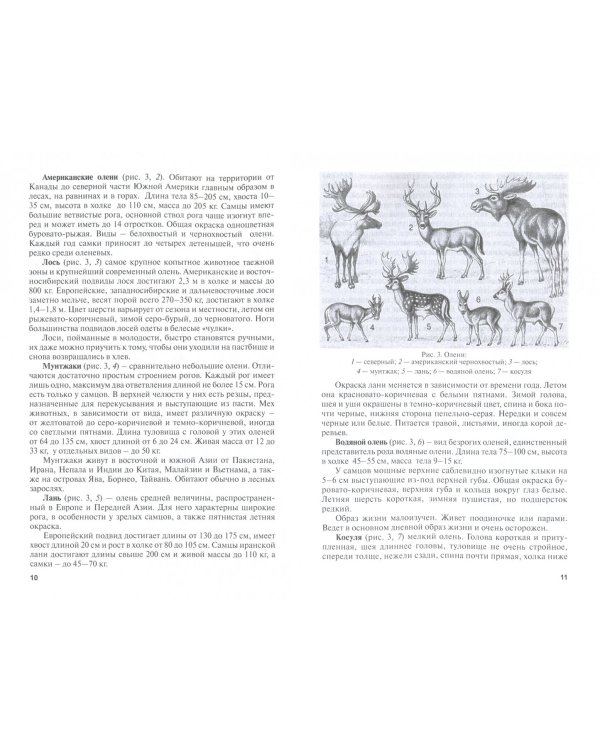 Оленеводство. Учебник