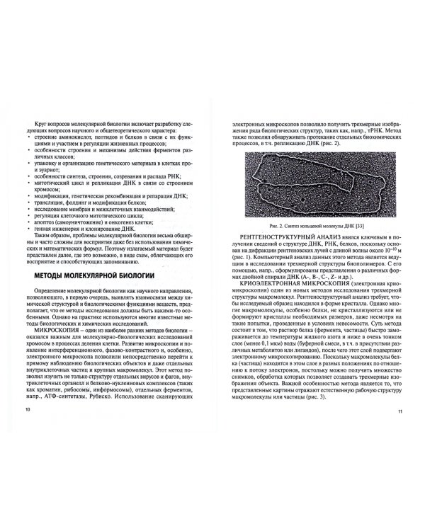 Молекулярная биология