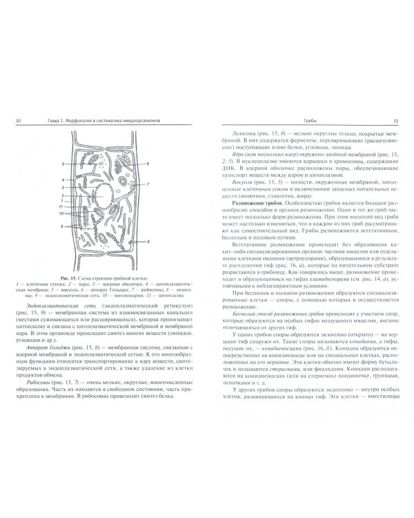 Основы микробиологии. Учебник