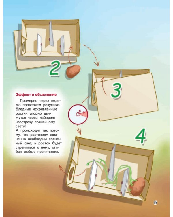 Весёлые научные опыты. Увлекательные эксперименты с растениями и солнечным светом