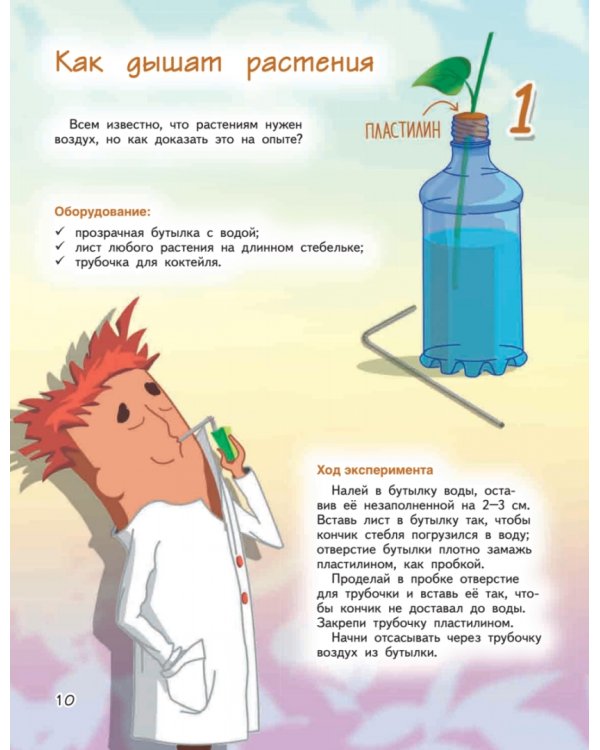 Весёлые научные опыты. Увлекательные эксперименты с растениями и солнечным светом