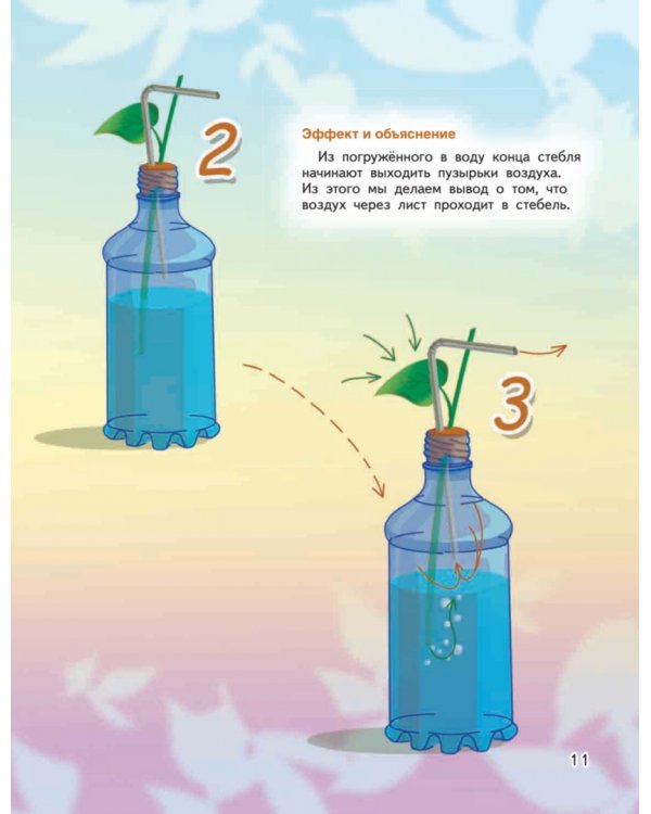 Весёлые научные опыты. Увлекательные эксперименты с растениями и солнечным светом