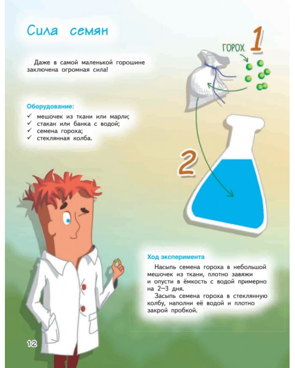 Весёлые научные опыты. Увлекательные эксперименты с растениями и солнечным светом
