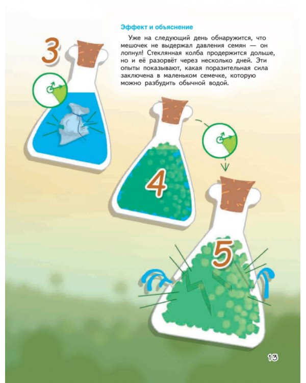 Весёлые научные опыты. Увлекательные эксперименты с растениями и солнечным светом