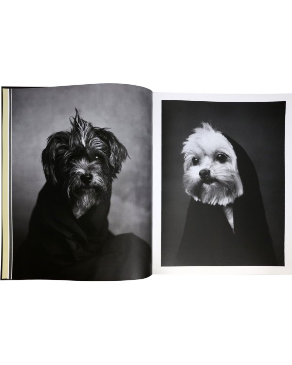 The Dogs. Human Animals