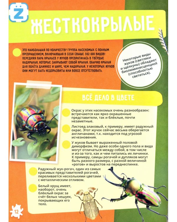 Энциклопедия в дополненной реальности. Солн. система. Животные. Динозавры. Мировой океан. Насекомые (количество томов: 5)