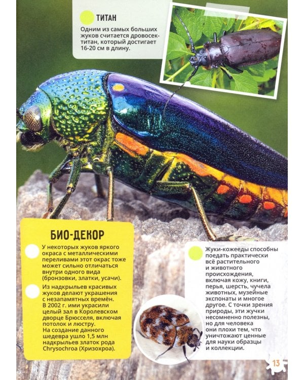 Энциклопедия в дополненной реальности. Солн. система. Животные. Динозавры. Мировой океан. Насекомые (количество томов: 5)