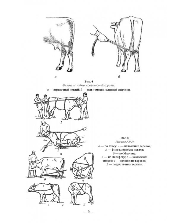Патологическая физиология животных. Практикум