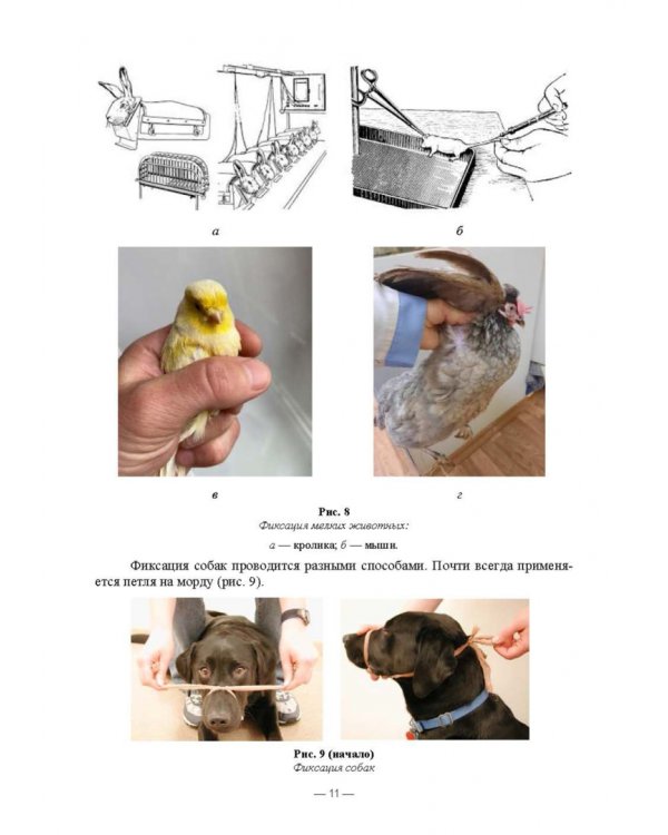 Патологическая физиология животных. Практикум