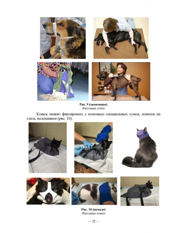 Патологическая физиология животных. Практикум