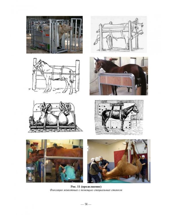 Патологическая физиология животных. Практикум