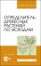 Определитель древесных растений по всходам