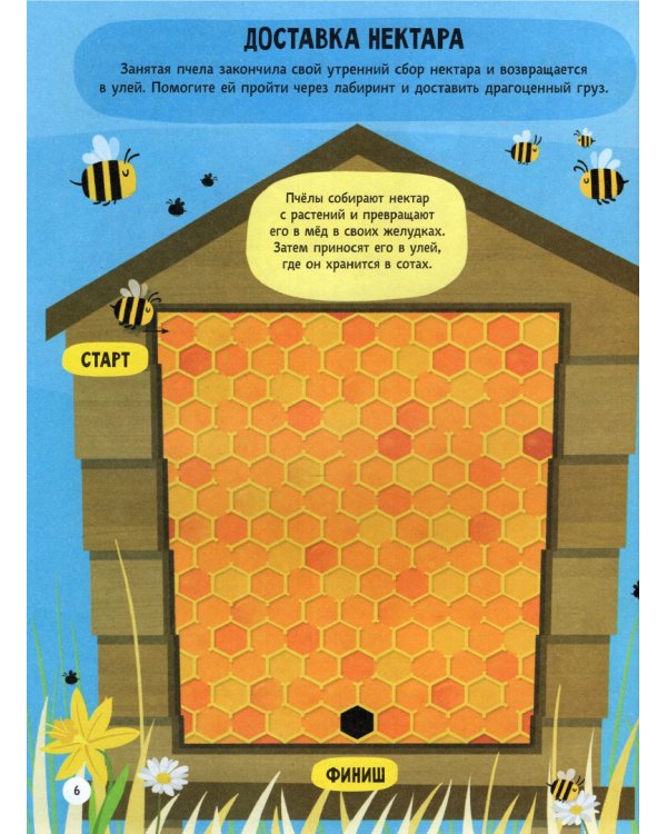 500 лучших головоломок обо всем на свете