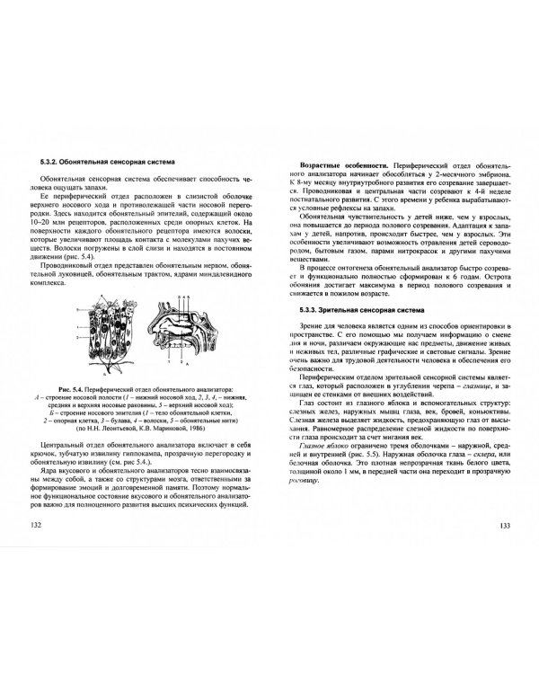 Возрастная анатомия и физиология. Учебное пособие