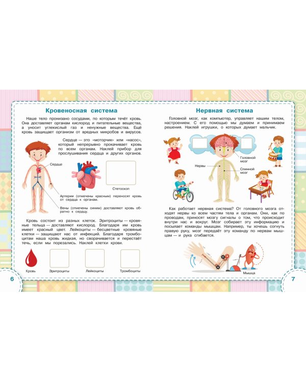 Тело человека. ФГОС ДО