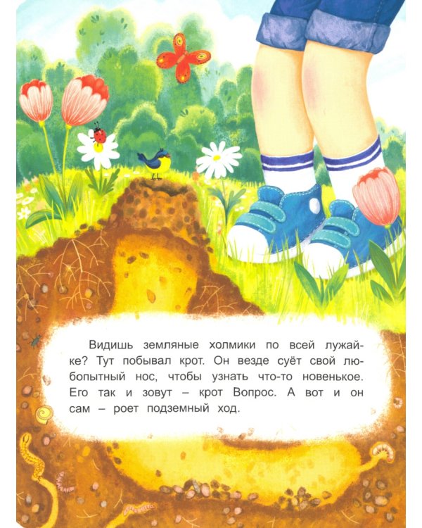 Крот Вопрос ищет дом