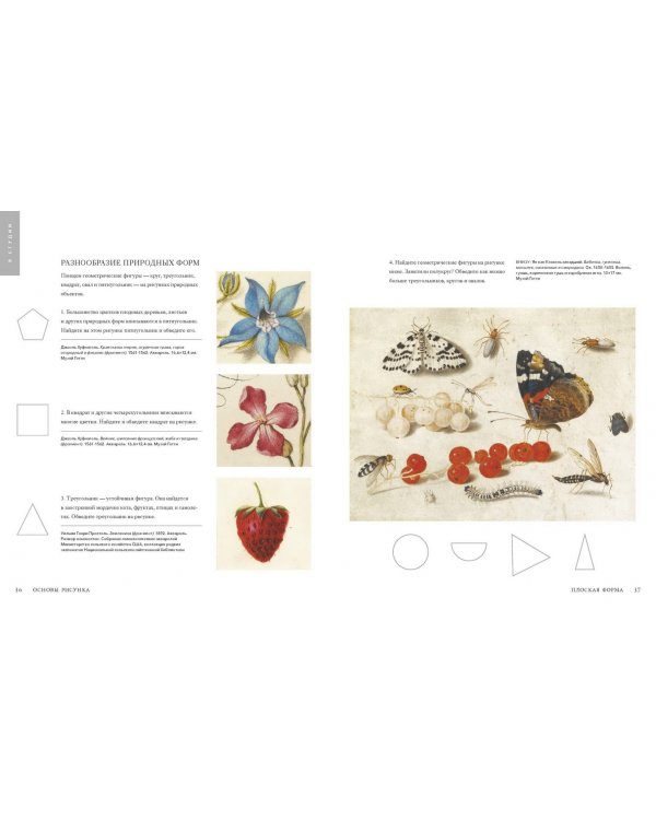 Основы рисунка. От копирования мастеров к свободе творчества. Воркбук
