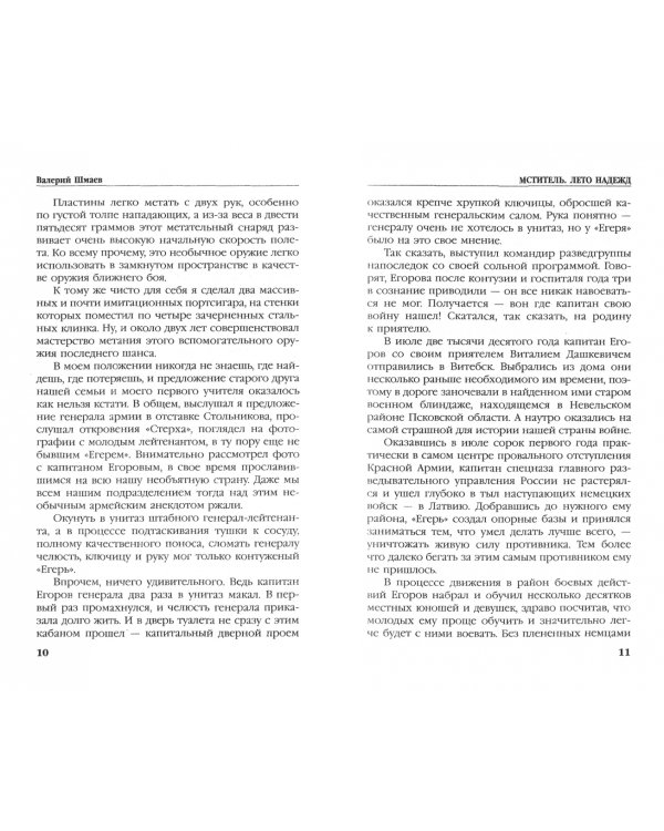 Мститель. Лето надежд