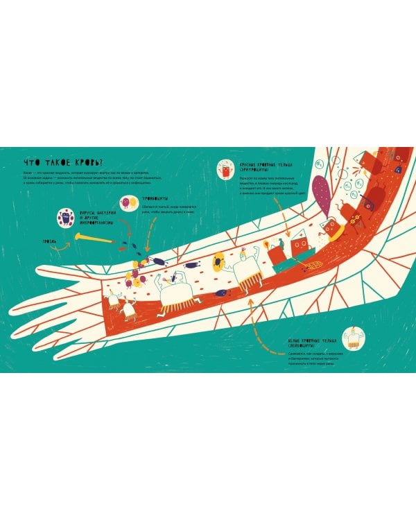 Тайная жизнь болячек