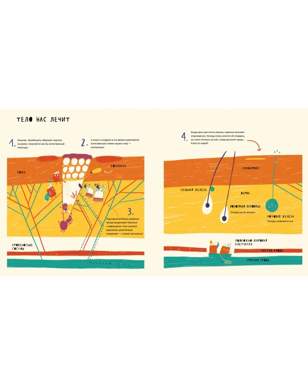 Тайная жизнь болячек