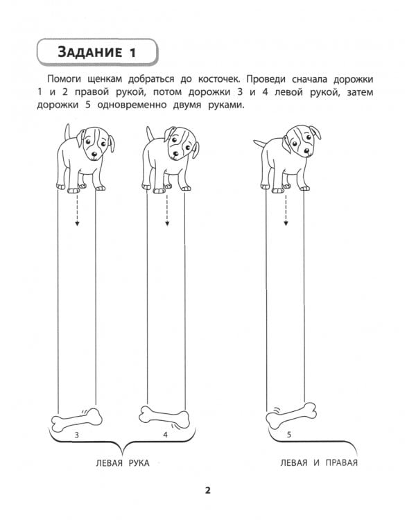 Правая, левая, вместе! Дорожки. Методическое пособие