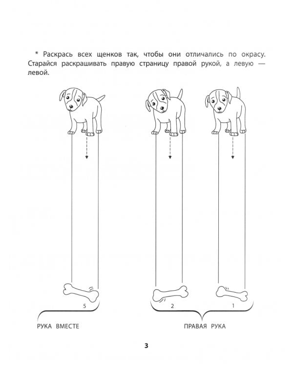 Правая, левая, вместе! Дорожки. Методическое пособие