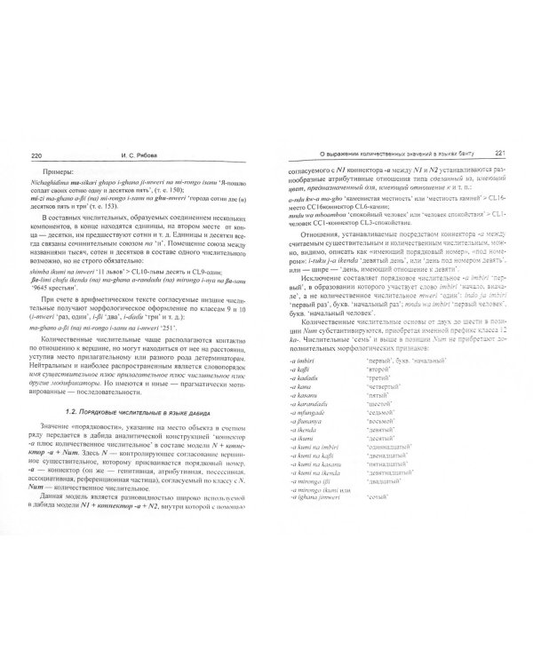 Основы африканского языкознания. Диахронические процессы и генетическое отношение языков Африки