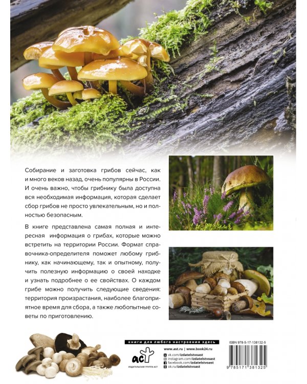 Большая энциклопедия. Грибы. Съедобные и несъедобные. Собираем и готовим