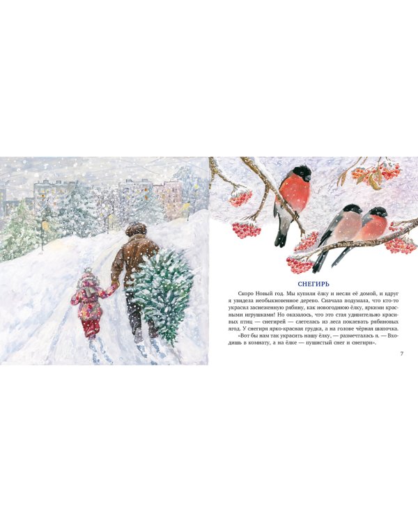 Птицы за окном