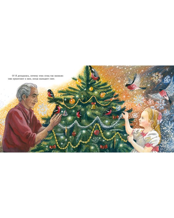 Птицы за окном