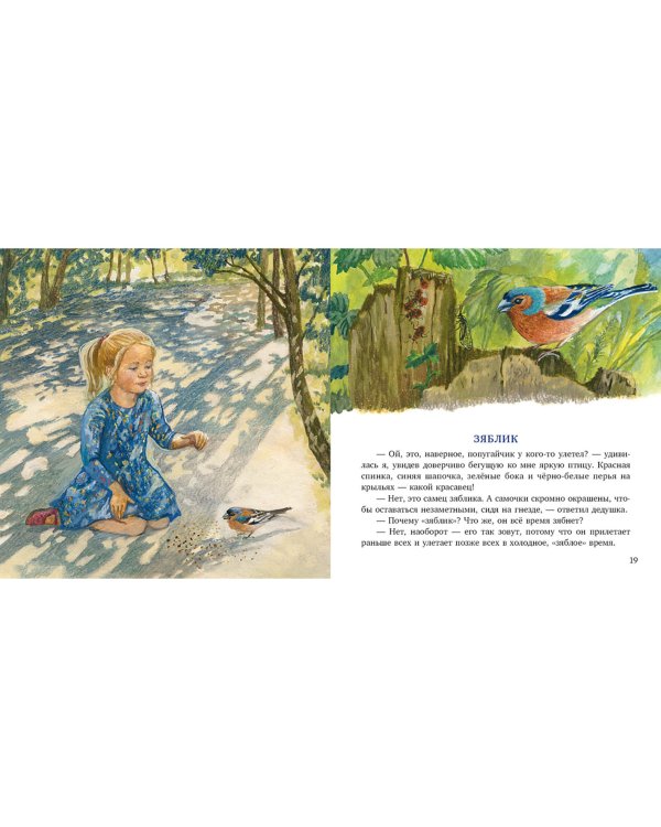 Птицы за окном