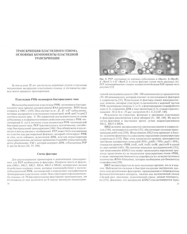 Гормональная регуляция биогенеза хлоропластов