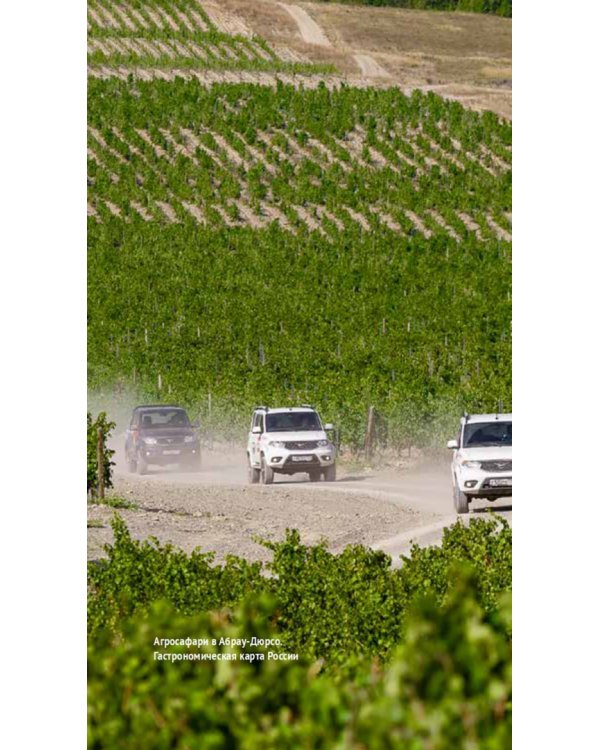 Винные дороги Боспорского царства. Краснодарский край, Крым, Севастополь, Ростовская область. Путеводитель + флип-карта. 19 маршрутов, 14 карт