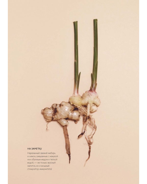 Сила трав. Растения и их свойства для практик очищения, красоты и вдохновения