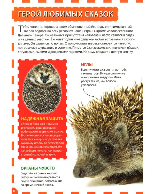 Животные России. Детская энциклопедия