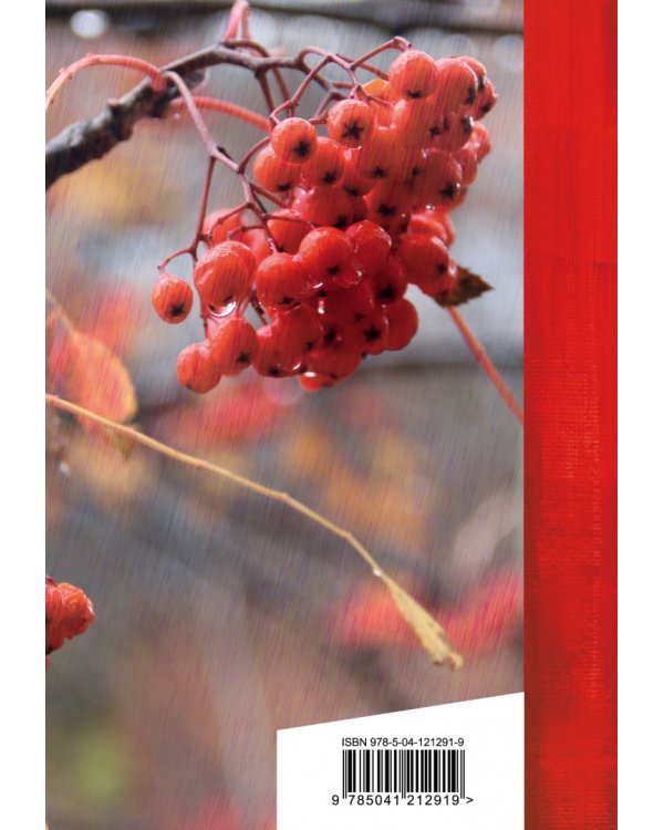 Шумит, не умолкая, память-дождь...